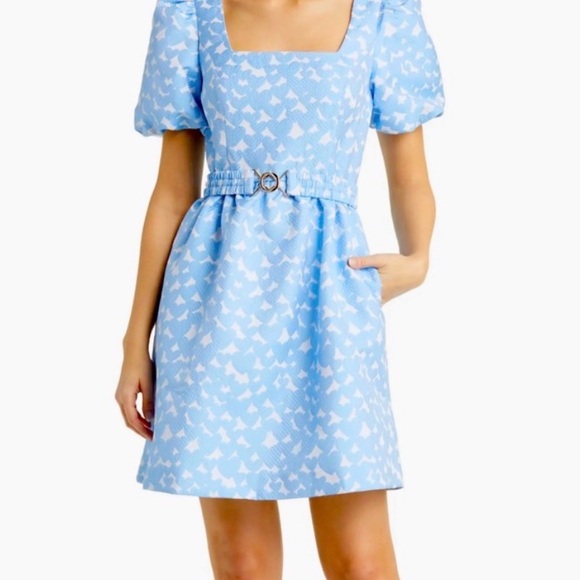 Lilly Pulitzer Dresses & Skirts - Lilly Pulitzer Blue and White Puff-Sleeve Belted Mini Dress